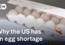 Why are eggs getting more and more expensive in the US? | D W News