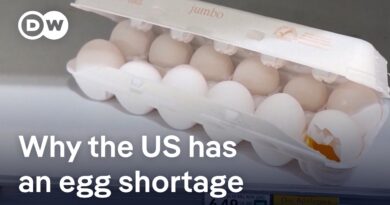 Why are eggs getting more and more expensive in the US? | D W News