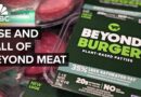 Why Beyond Meat and the plant-based meat industry couldn’t live up to the hype