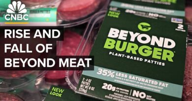 Why Beyond Meat and the plant-based meat industry couldn’t live up to the hype