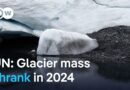 Why saving the planet’s glaciers is a matter of survival | DW Mews