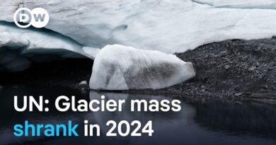 Why saving the planet’s glaciers is a matter of survival | DW Mews