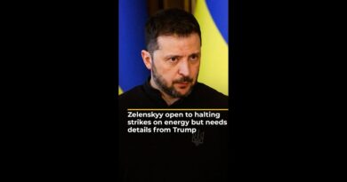 Zelenskyy open to halting strikes on energy but needs details from Trump | AJ #shorts