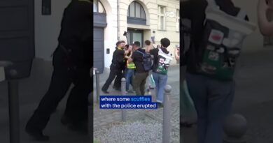 Berlin police remove pro-Palestinian activists from building | DW News
