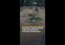 Elephant herd in zoo reacts to California earthquake to protect their young