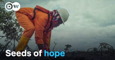 Nigerian communities vs. Big Oil | DW Documentary