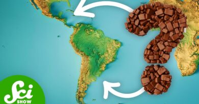 We Don’t Know Where Chocolate Comes From